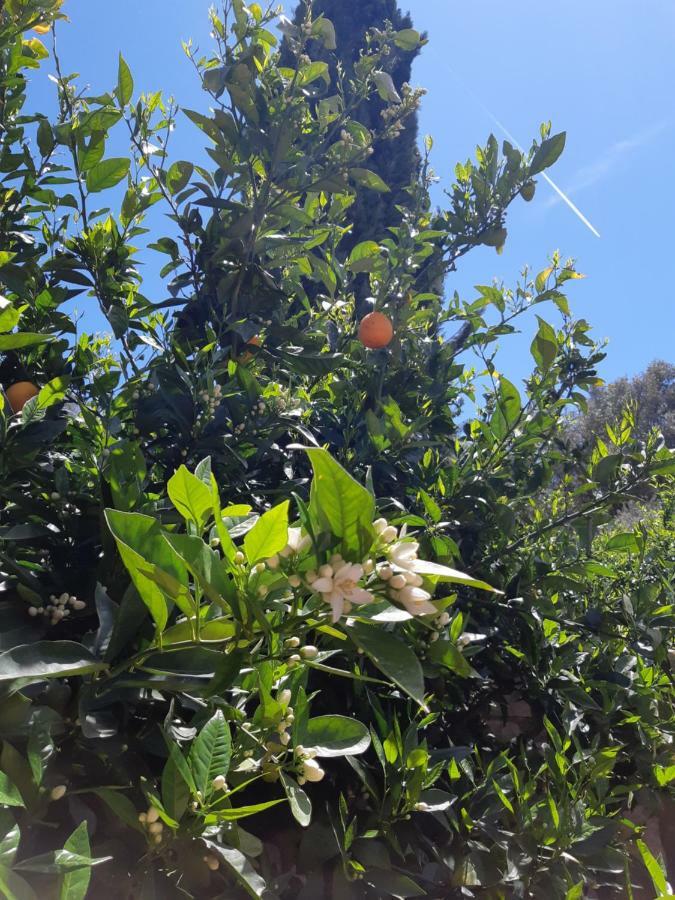 Crapa Licca Βίλα Ventimiglia di Sicilia Εξωτερικό φωτογραφία